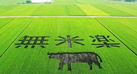 不怕竞争的台湾农业 休闲农业的魅力何在？