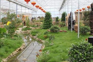 文化创意赋能 南京休闲农业的升级之路