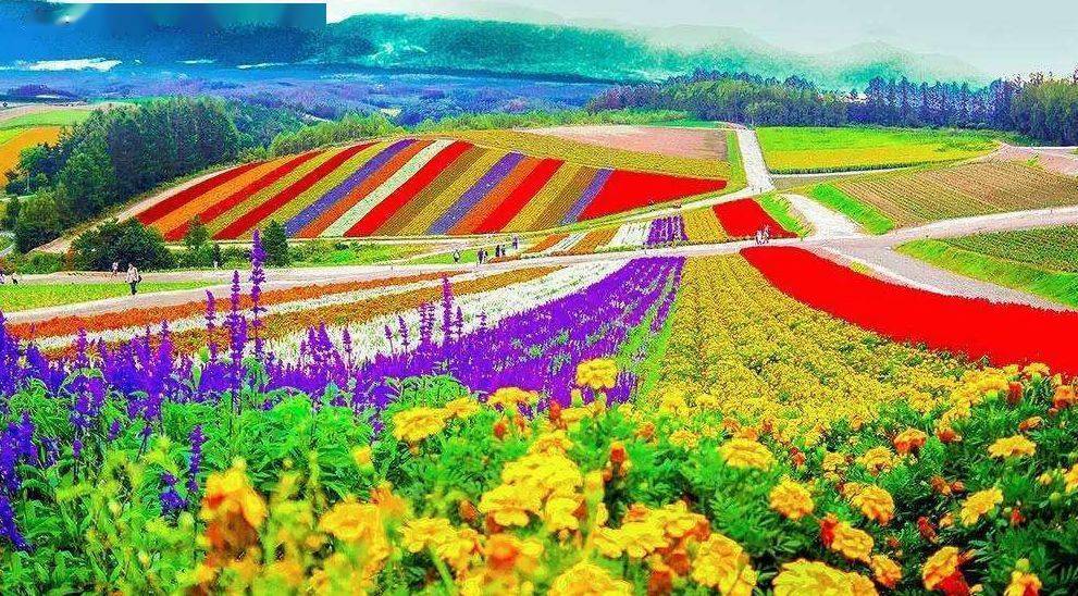 这才是真正的休闲农业与乡村旅游