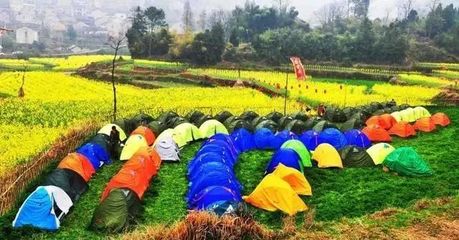 休闲农业 都市人的田园梦与养猪巨头的新视角