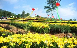 2018休闲农业补贴政策大全 可申报的项目、申請时间与技巧全解析