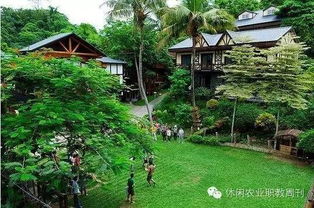 休闲农业中的住宿创意思路与方法 乡村观下的体验新生态