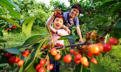 2018年休闲农业和乡村旅游精品推介申报启动！农旅融合迎来新机遇