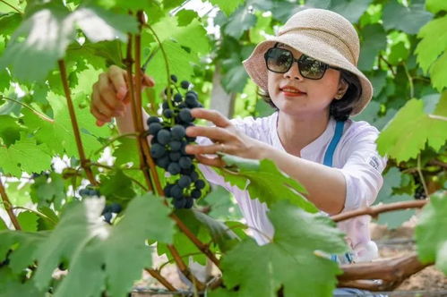 休闲农业场景开发盈利模式 如何实现资源变资产