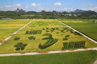 大力发展休闲农业与乡村旅游 推动农业转型升级与乡村振兴