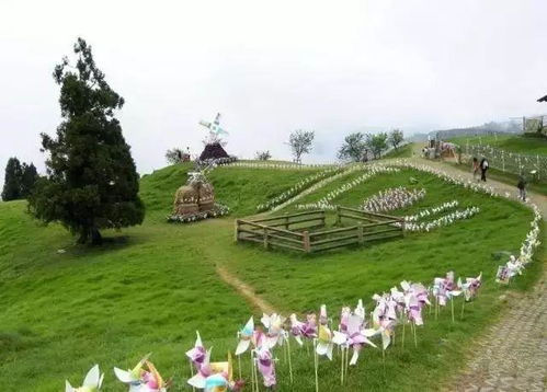 休闲农业与养老服务的融合发展探索