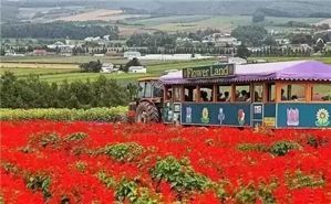 全球经典案例 休闲农业与乡村旅游的成功实践