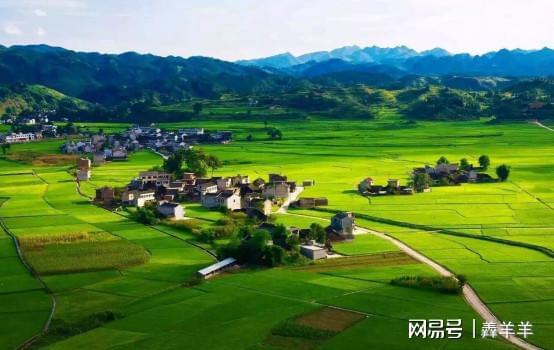 休闲农业 乡村振兴的绿色引擎