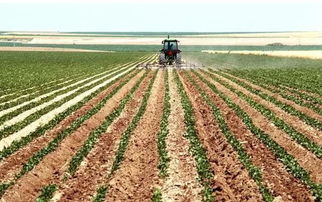 休闲农业 政策扶持下的高利润与巨大升值空间