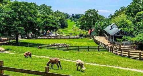 日本休闲农业 借鉴改造，而非盲目模仿