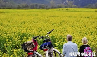 田园综合体与休闲农业 以精准策划驱动可持续效益