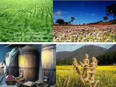 休闲农业 在机遇与挑战中探寻可持续发展之路