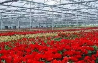 休闲农业的30种类型 收藏备用指南