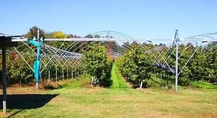 三农日报 农民微店热潮兴起，家庭农场探索“休闲农业+”新模式