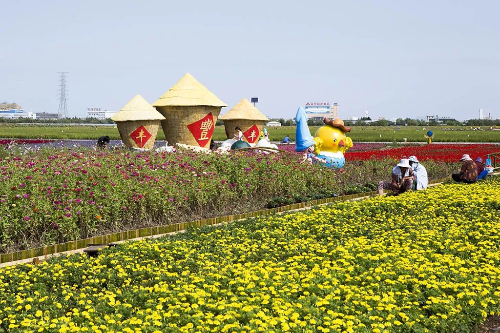 厉害了！舟山这些地方上榜省级“最美田园”、休闲农业与乡村旅游精品线路