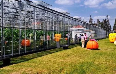 农业众创空间如何发展？——以上海“星创天地”建设典型模式与休闲农业为例